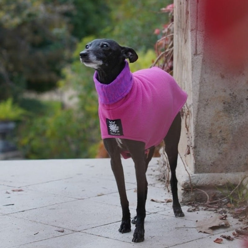 Abrigo de lana de galgo italiano