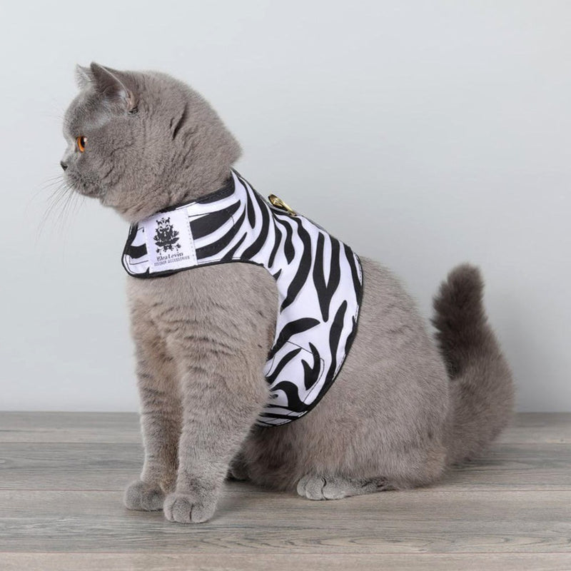 cat harness Zebra