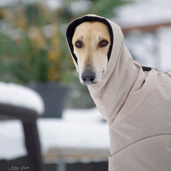 elegnat  dog coat for sighthounds in beige and black faux fur