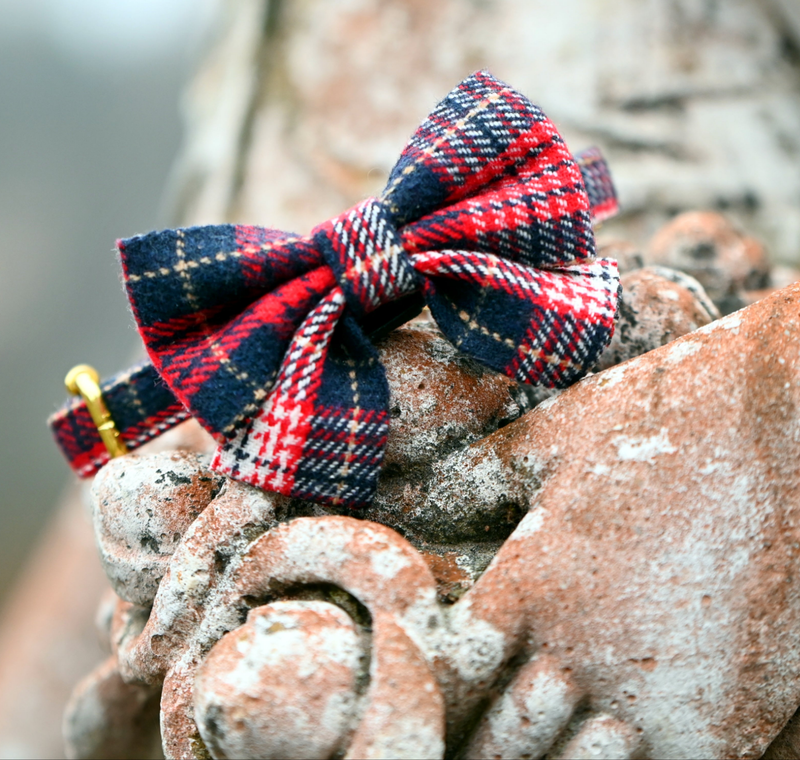 Tartan Bow tie
