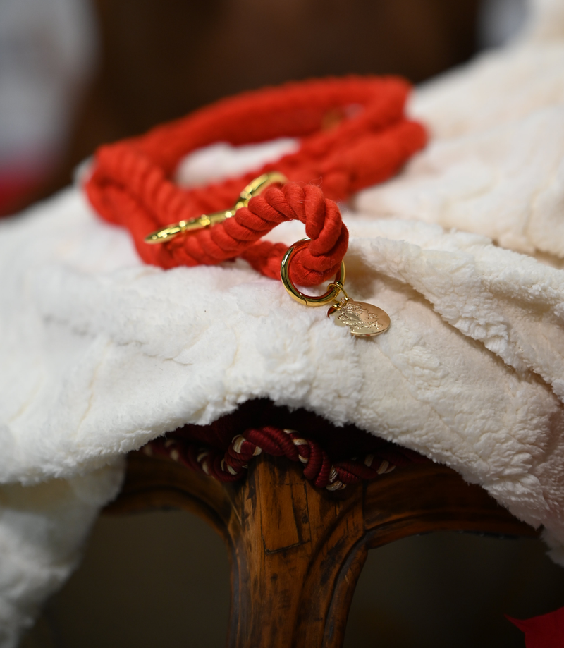 Rope leash for dogs