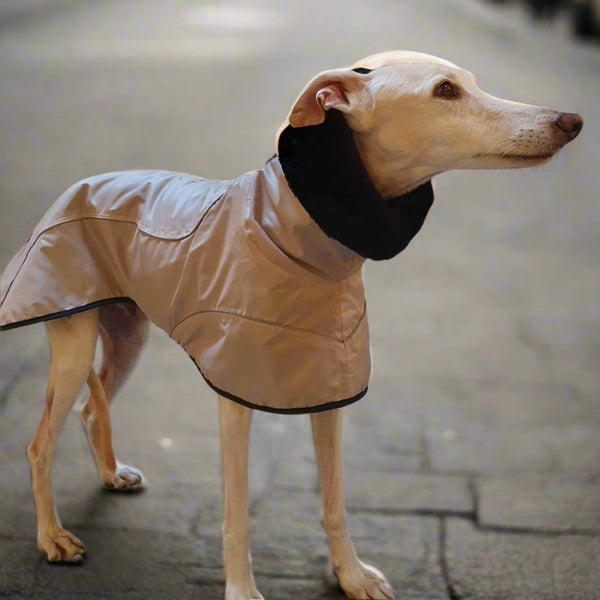 Beige Waterproof Urban Coat