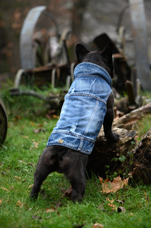 Dog Jeans Jacket S to M breeds