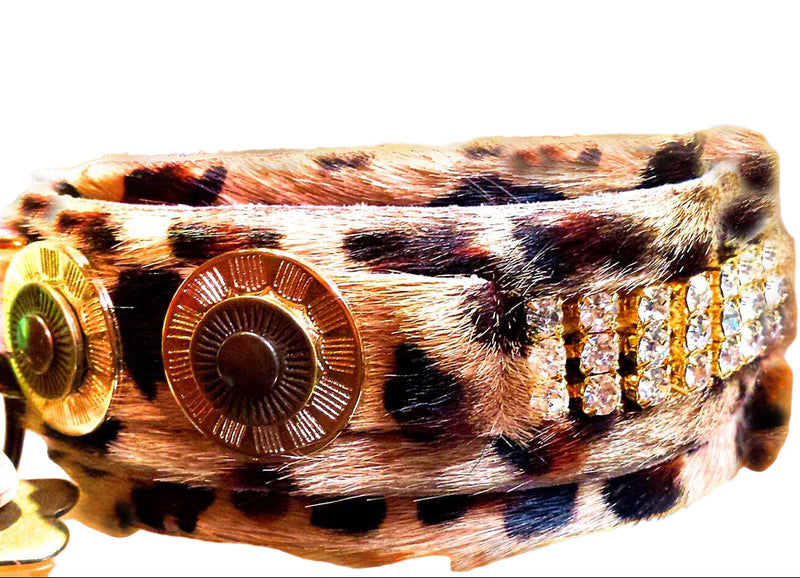 Masculino Zanzibar Dog Collar