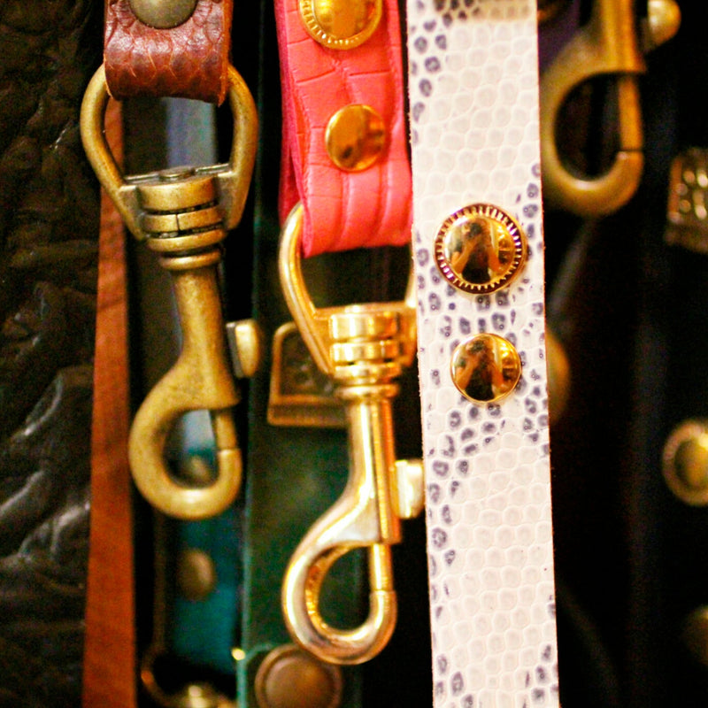 MATCHING leather LEASHES discounted buying together with DOG COLLAR