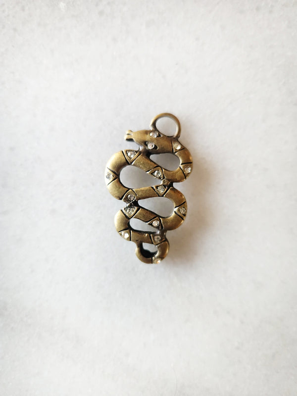 Snake Dog Charm
