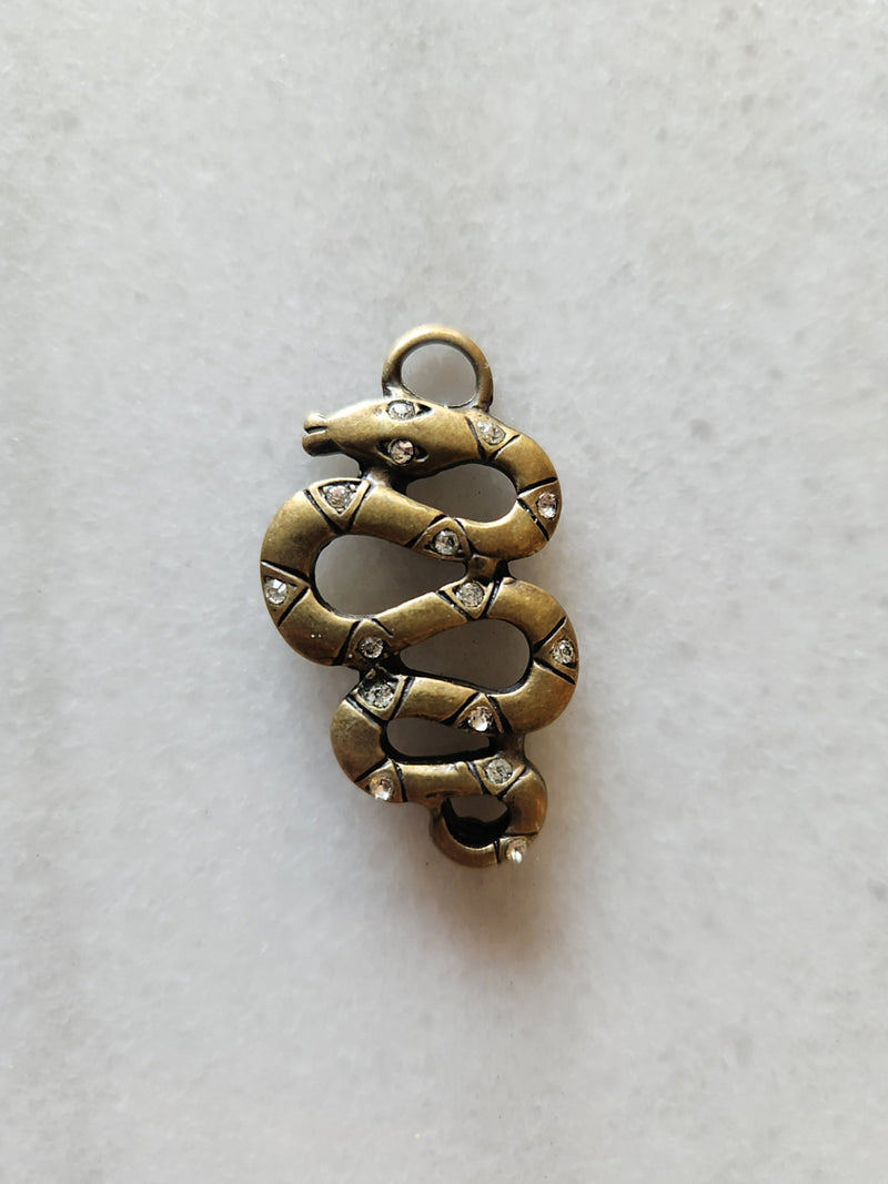 Snake Dog Charm