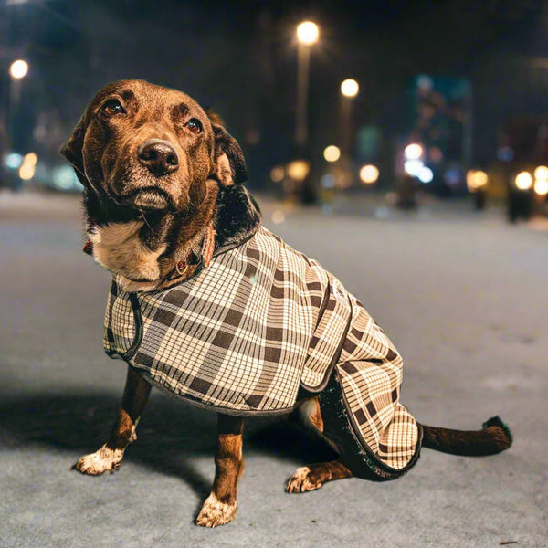 Black white Tartan ALL BREEDS