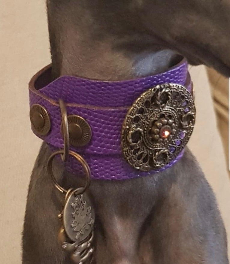 Basic Crystallized Italian Greyhound Collar - BARCELONADOGS