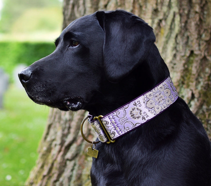 Extra Wide Martingale (28-50 cm) - BARCELONADOGS