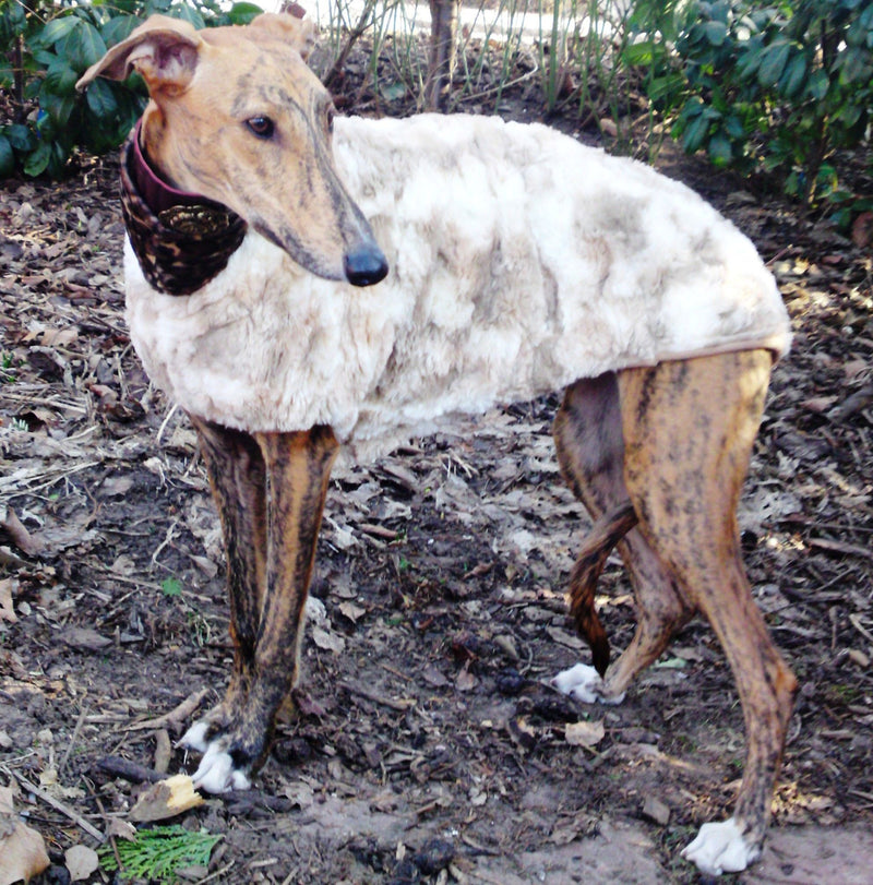 Faux Fur Beige Greyhound Coat - BARCELONADOGS