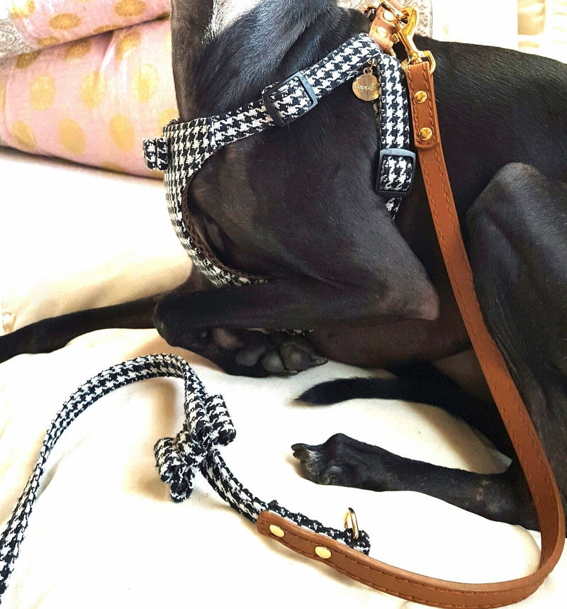 Pepita Dog Harness - BARCELONADOGS