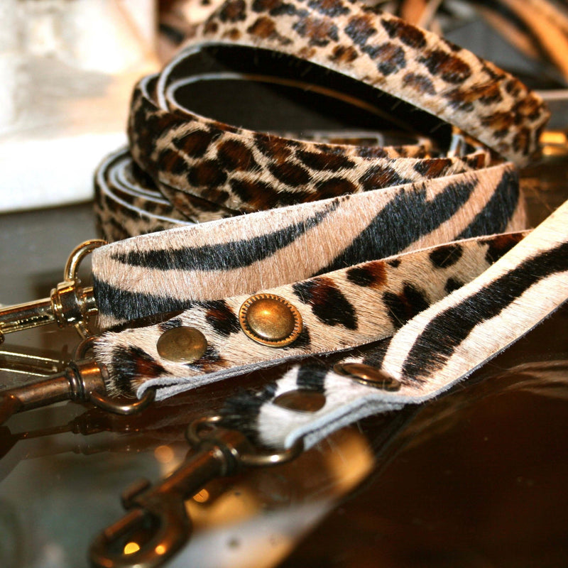 Zanzibar Leopard Dog Leash - BARCELONADOGS