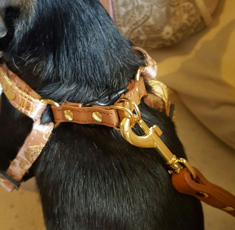 Leash for Luxury Harness - BARCELONADOGS