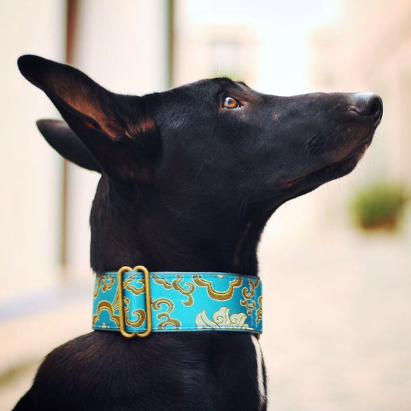 Extra Wide Martingale (28-50 cm) - BARCELONADOGS