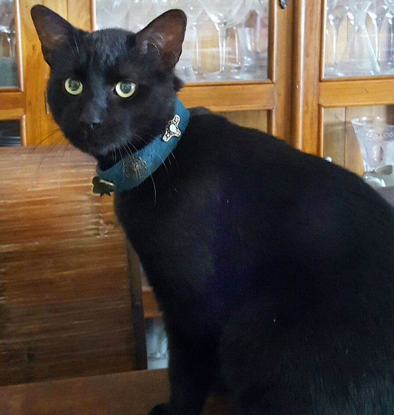 Medieval Cross Cat Collar - BARCELONADOGS
