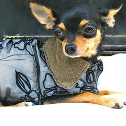 Lace Dog Coat - BARCELONADOGS