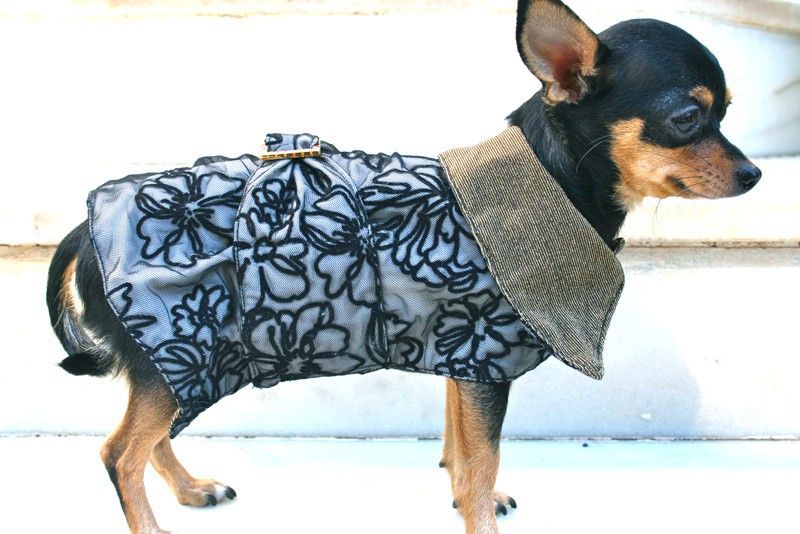 Lace Dog Coat - BARCELONADOGS