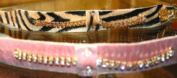 Serendipity Dog Collar - BARCELONADOGS