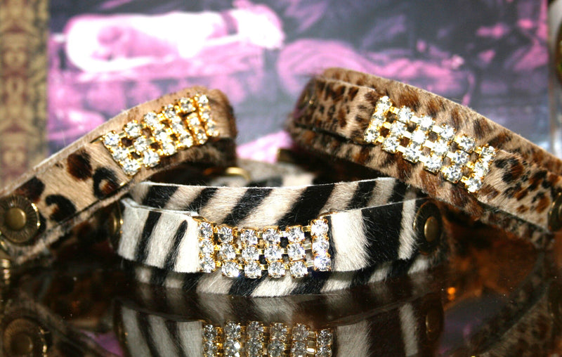 Masculine Zanzibar Cat Collar - BARCELONADOGS