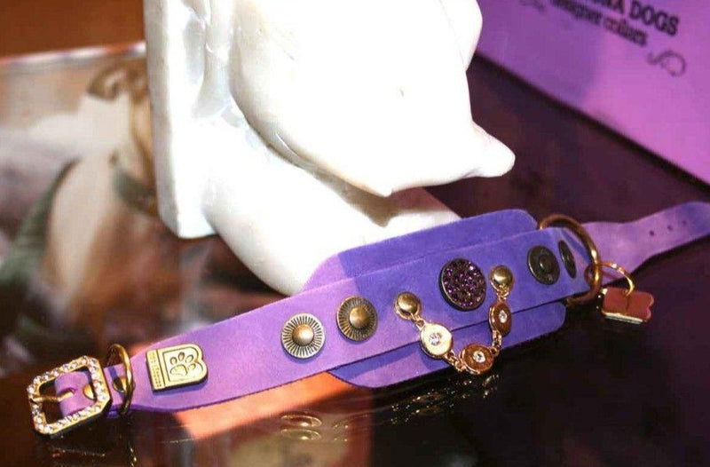 Half a Legend Dog Collar - BARCELONADOGS