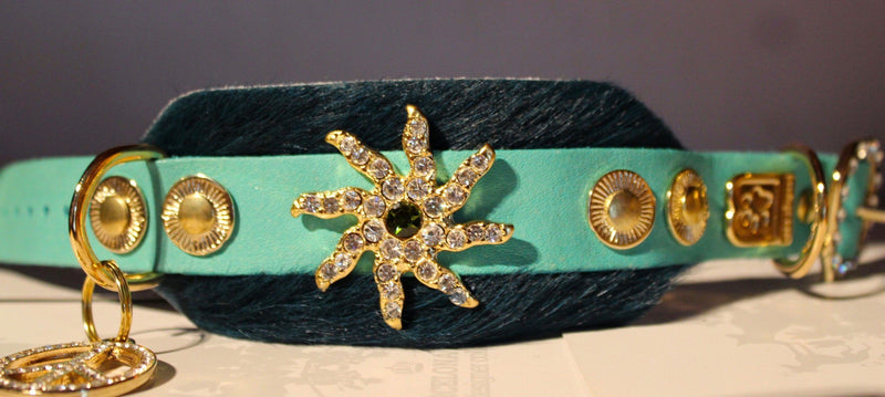 Starfish Dog Collar - BARCELONADOGS
