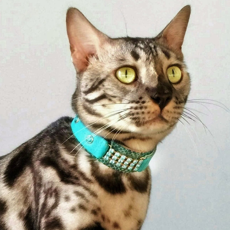 Elle Cat Collar - BARCELONADOGS