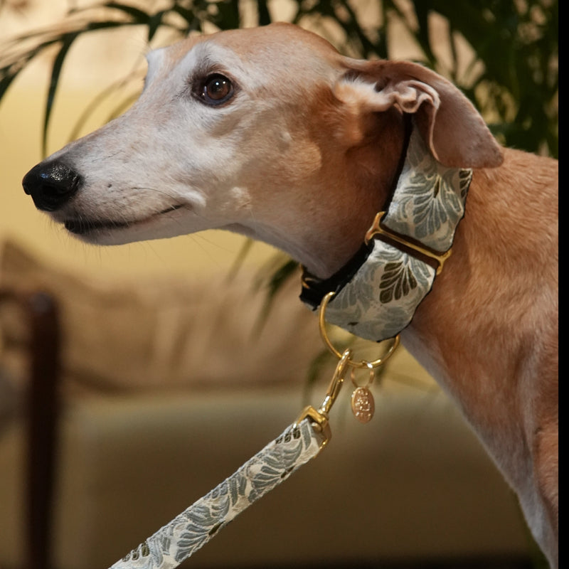 martingale silver leaves
