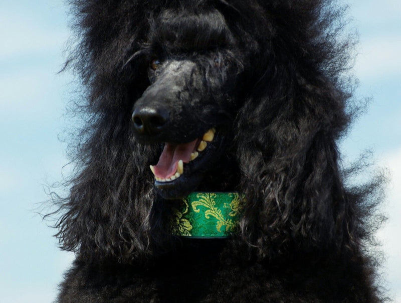 Extra Wide Martingale (28-50 cm)