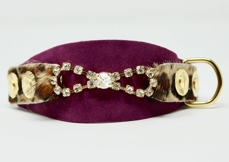 Tribal Rosette Collar - BARCELONADOGS