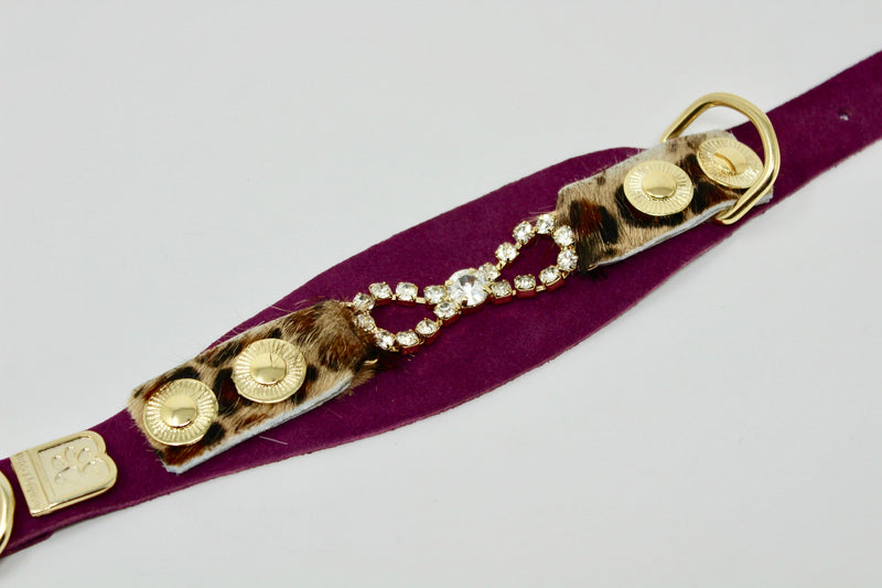 Tribal Rosette Collar - BARCELONADOGS
