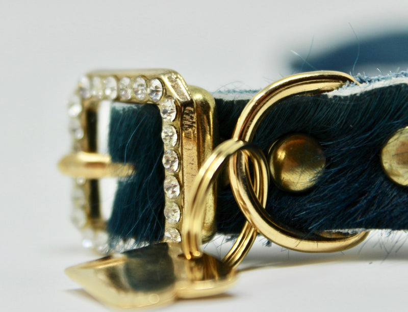 Lhasa Cat Collar - BARCELONADOGS