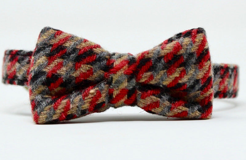 Burberrish Bowtie Dog Collar - BARCELONADOGS