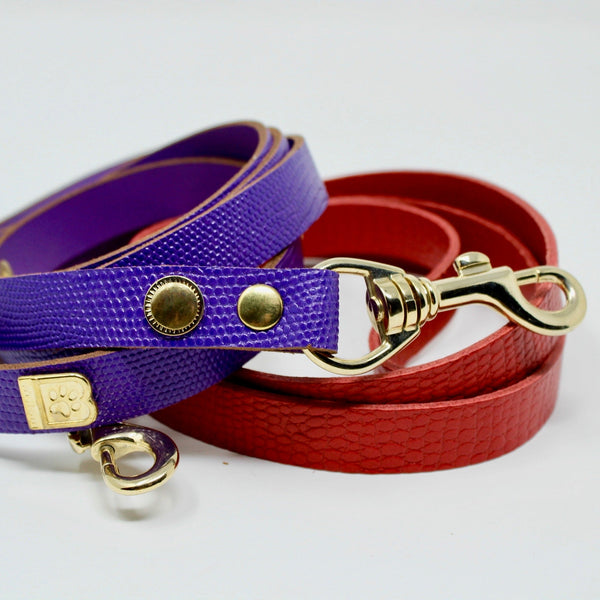 MATCHING LEASH REDUCED PRICE when you buy together with DOG COLLAR - BARCELONADOGS