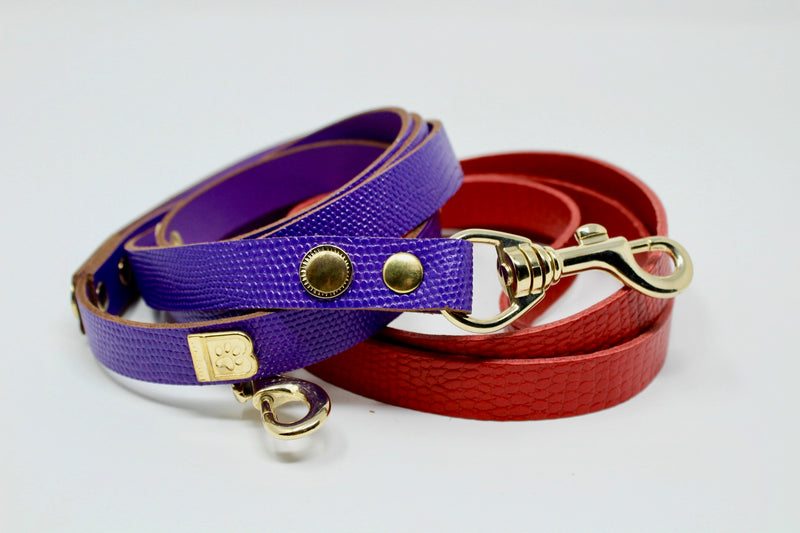 MATCHING LEASH REDUCED PRICE when you buy together with DOG COLLAR - BARCELONADOGS