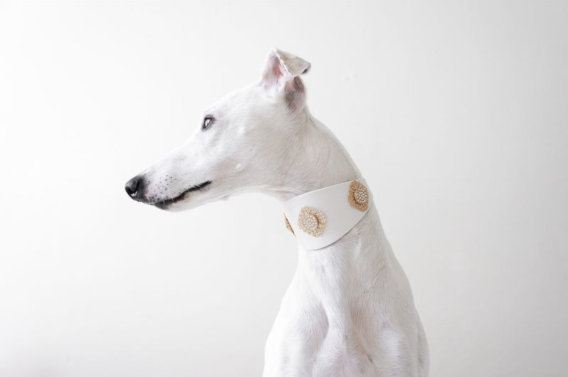 Filigree Crystal Sighthound Collar - BARCELONADOGS