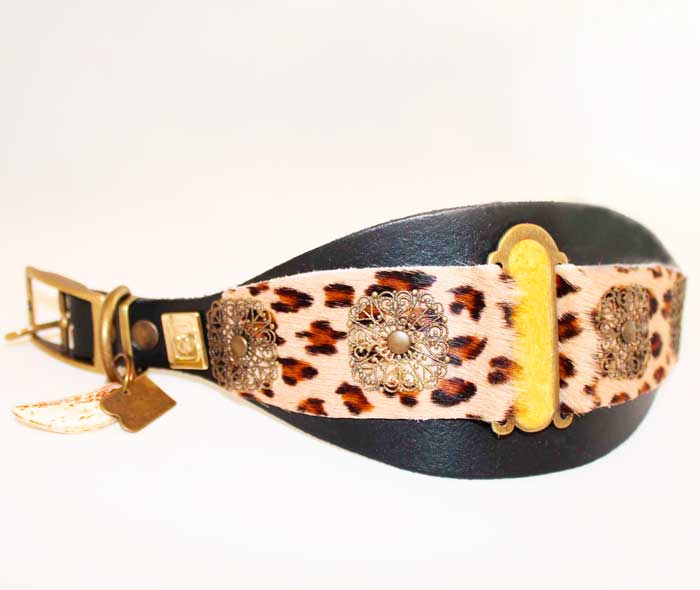 Lazaro Collar - BARCELONADOGS
