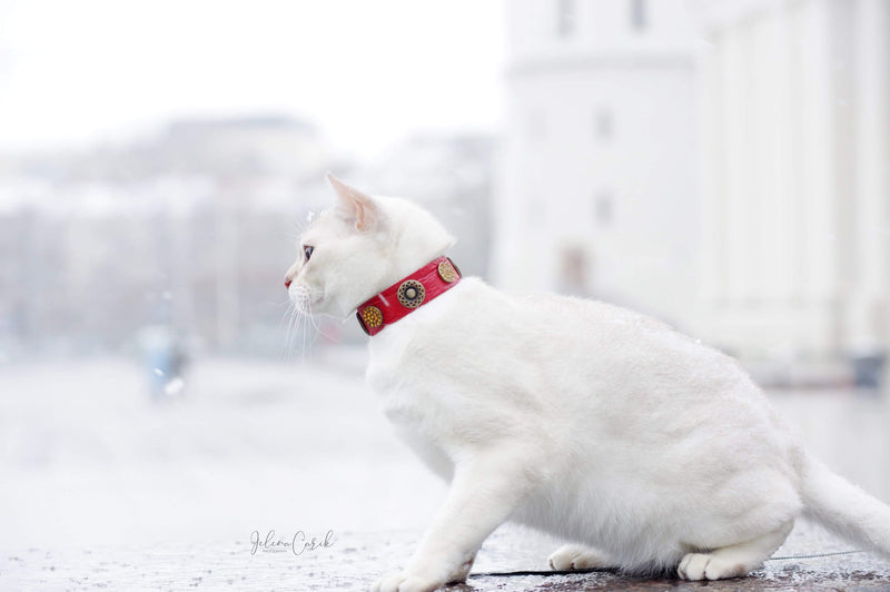 Olympia Cat Collar
