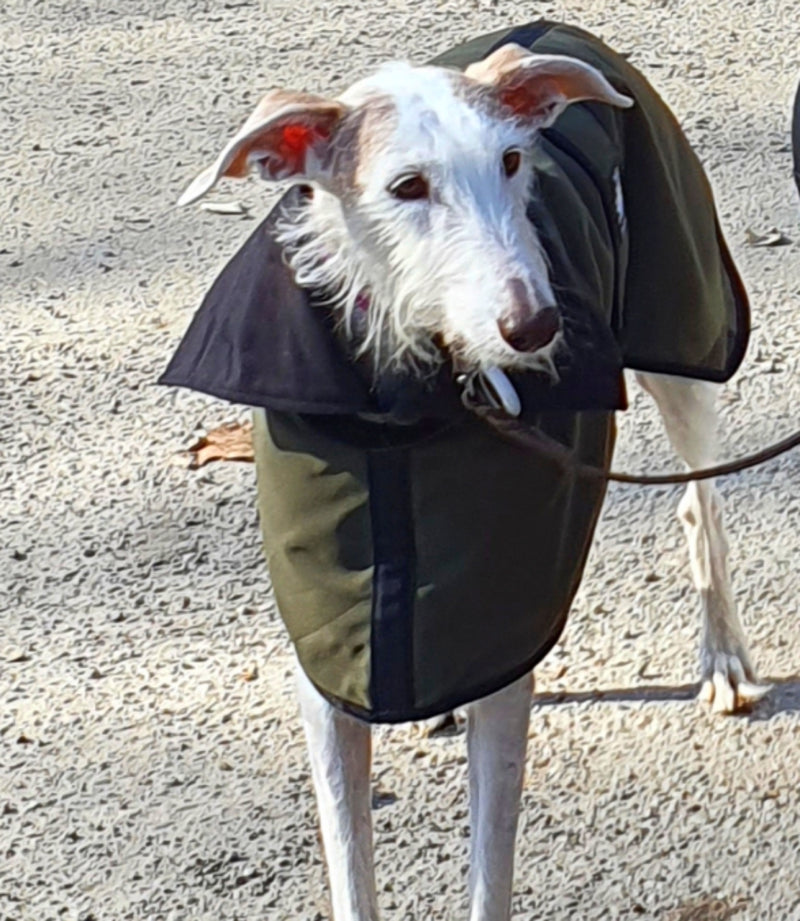 Sporty chic rain/wind coat