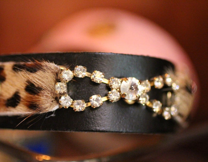 Tribal Rosette Cat Collar - BARCELONADOGS