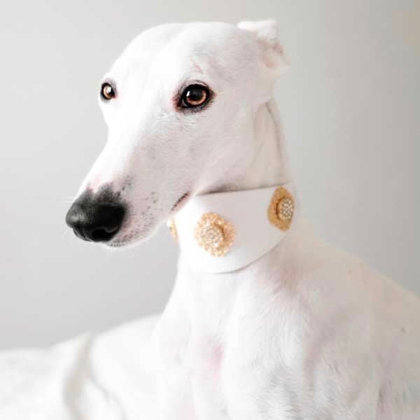 Filigree Crystal Collar - BARCELONADOGS