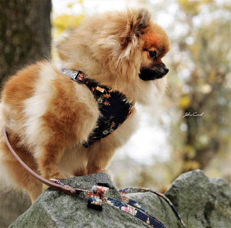 Tropical Navy Dog Harness - BARCELONADOGS