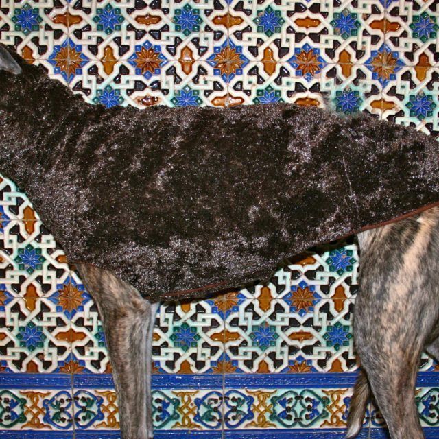 Chocolate Greyhound Coat - BARCELONADOGS