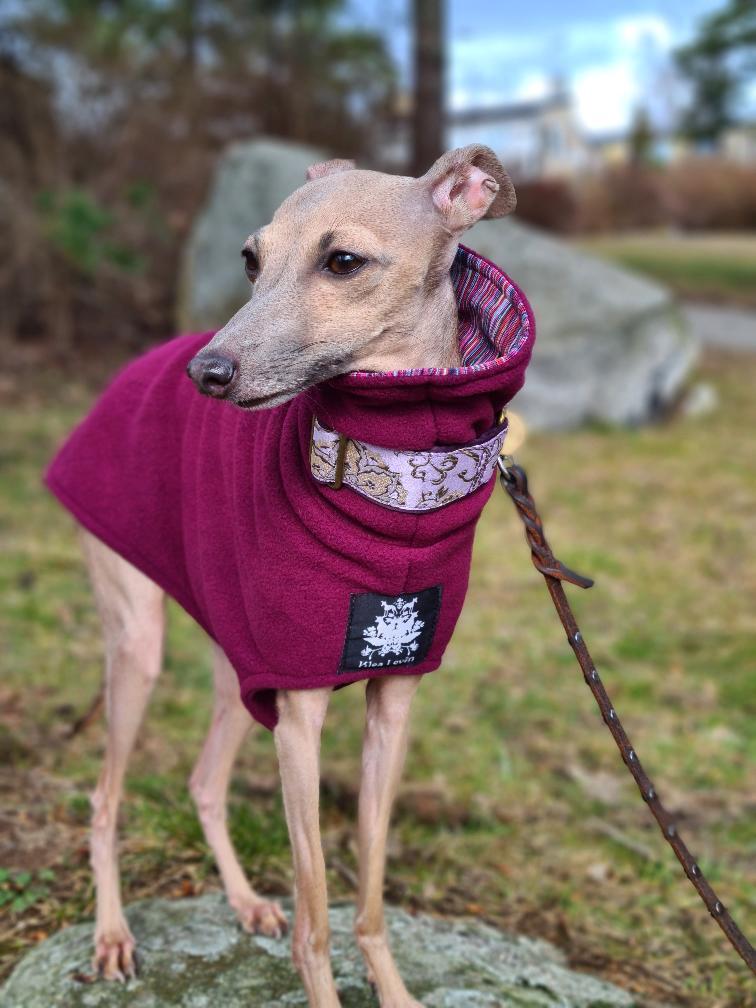 Italian Greyhound Fleece Coat