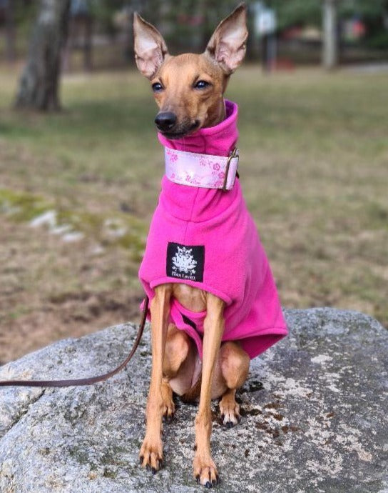 Italian Greyhound Fleece Coat