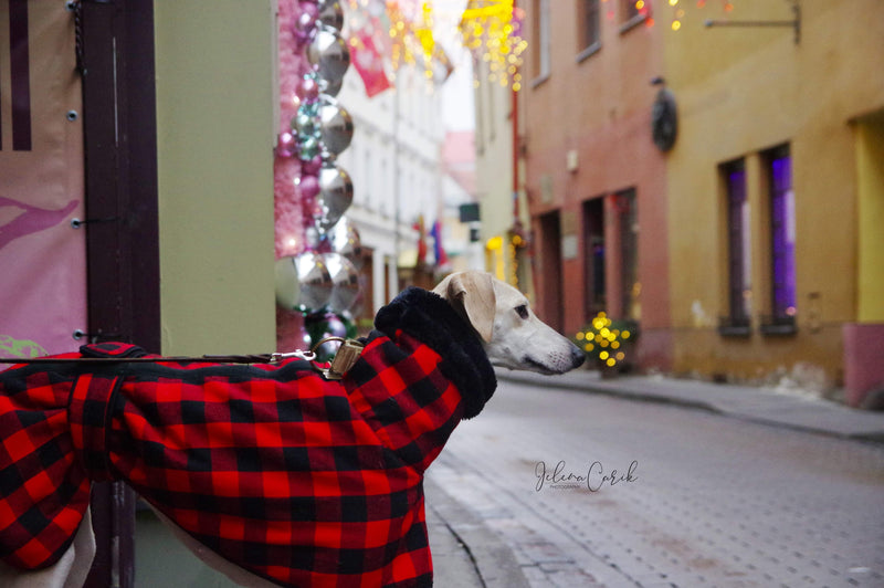 Red Black Buffalo Plaid Sighthound Coat