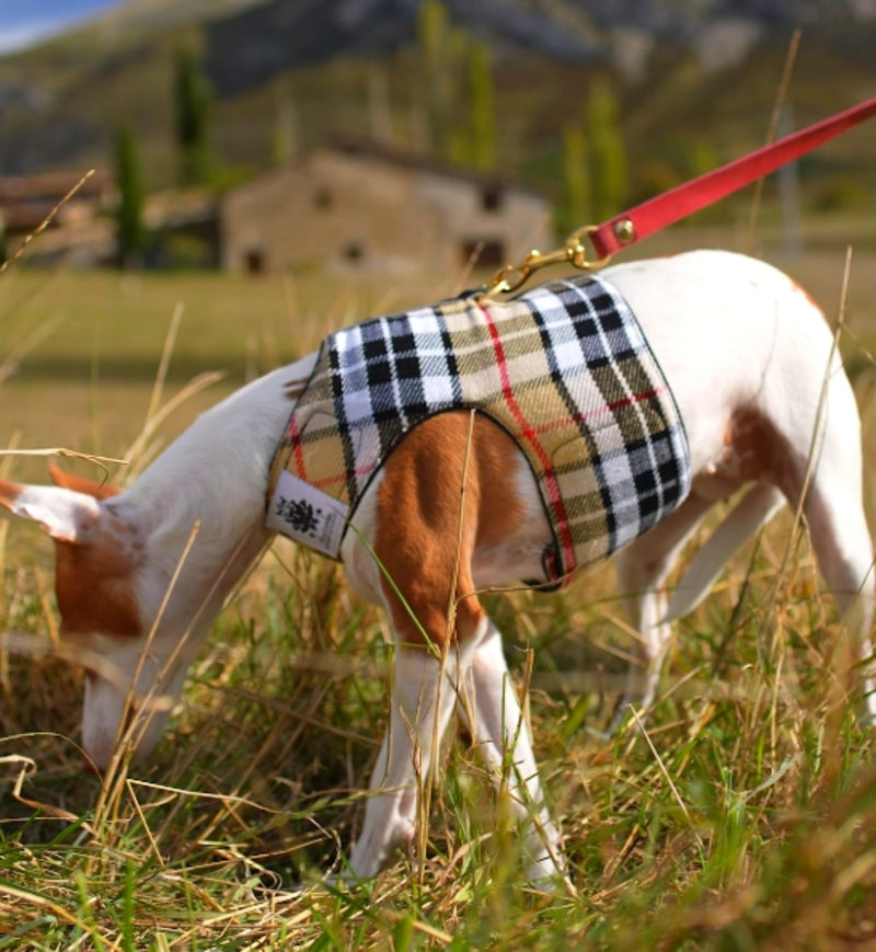 Camel Tartan Harness Coat