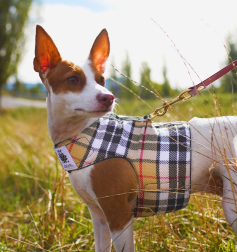 Camel Tartan Harness Coat