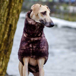 Faux Fur Sighthound Coat - BARCELONADOGS