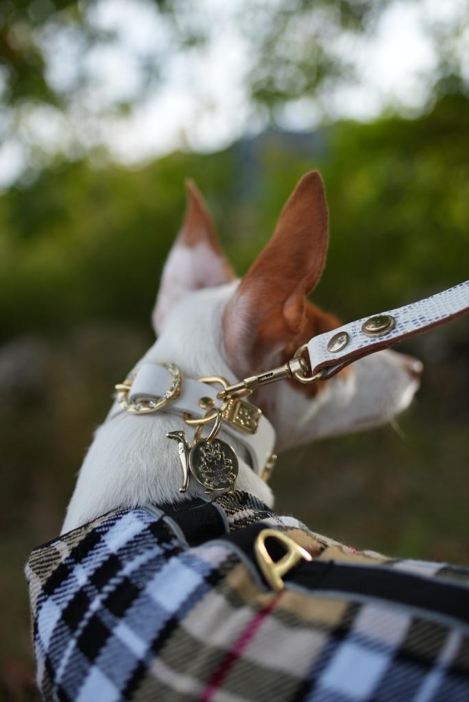 Camel Tartan Harness Coat